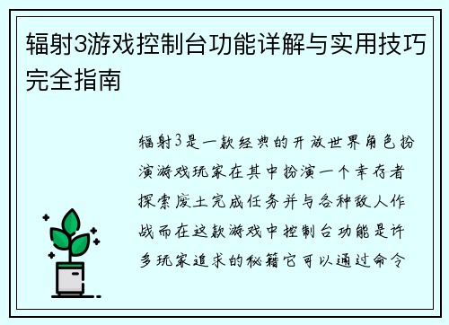 辐射3游戏控制台功能详解与实用技巧完全指南